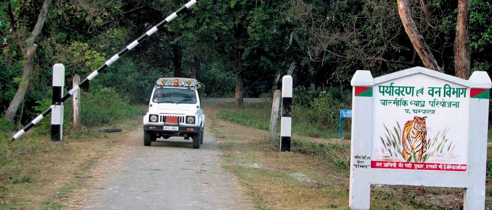 valmiki tiger safari